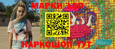 хмурый Тула
