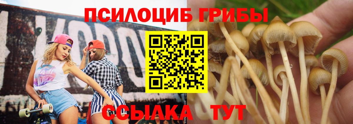 Люберцы  Псилоцибиновые грибы мухоморы  Псилоцибиновые грибы прущие грибы  Вход с VPN 